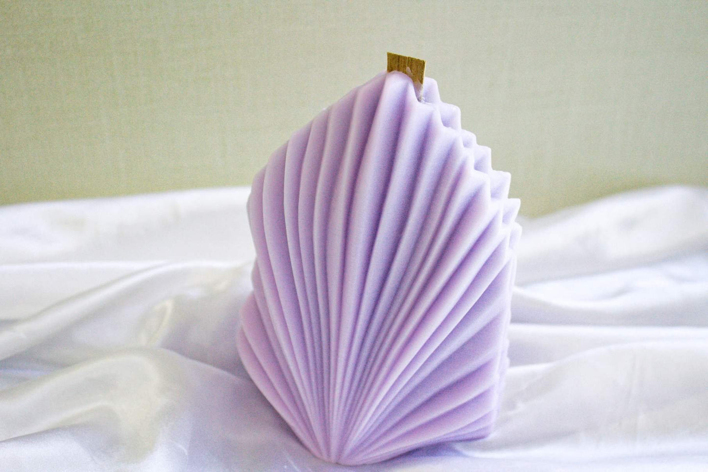 Wooden Wick Coral Shell Candle